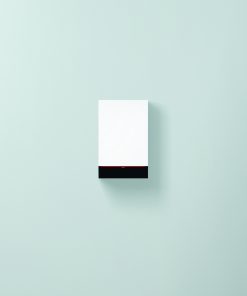 Plinska peč Viessmann VITODENS 222-W